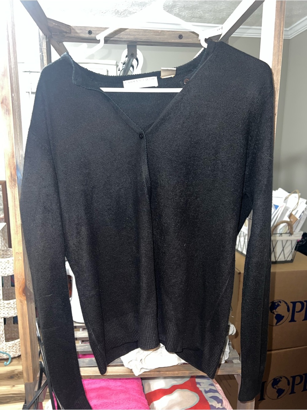 Carolyn Taylor Black V-Neck Lightweight Sweater